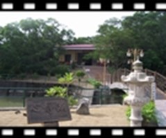Picture-1