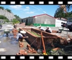Picture-1