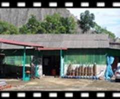 Picture-3