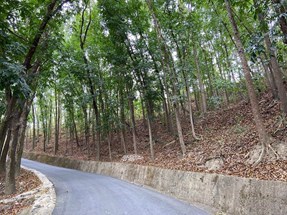 監區道路