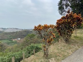 高地遠眺景觀